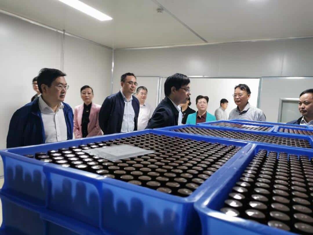 安徽省卫健委副主任吴振宇率队来旌德调研生命健康产业工作，实地考察旌德海昭生物科技有限公司