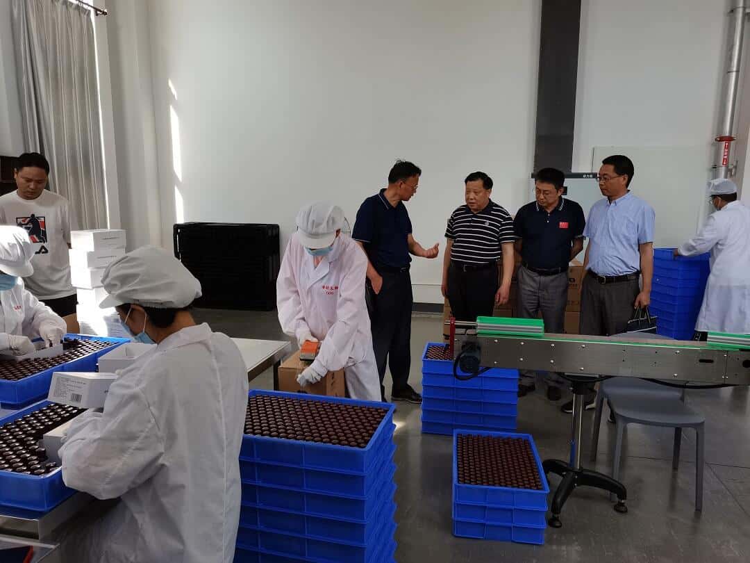 宣城市市场监督局副局长孙光华一行莅临考察海昭生物